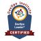 devops-leader